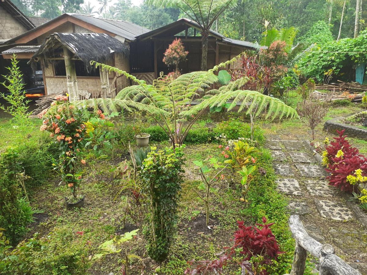 Ijen Miner Family Homestay Banyuwangi  Eksteriør billede