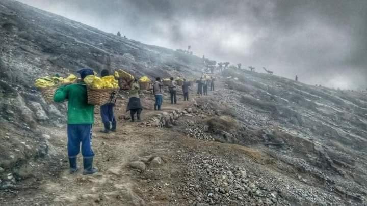 Ijen Miner Family Homestay Banyuwangi  Eksteriør billede